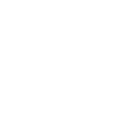 Parasailing Team Nistelrode Logo